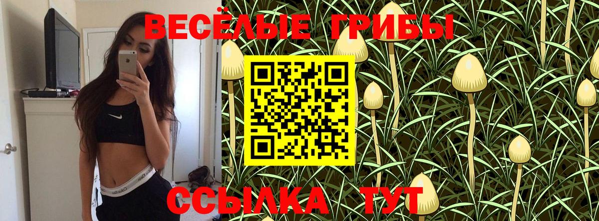 Псилоцибиновые грибы MAGIC MUSHROOMS Сатка