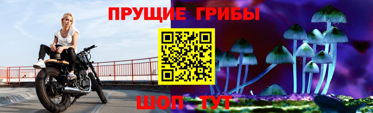 Сатка  Псилоцибиновые грибы Cubensis  Вход с VPN  Галлюциногенные грибы Magic Shrooms 